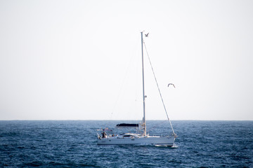A sailing boat in a mediterranean blue sea, horizon landscape with a white sky with seagulls flying over.