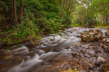 Naklejka na ściany i meble Mountain river with fast waters passing through the forest. Windy day, long exposure.