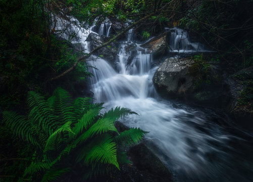 Narrow mountain river running between rocks in green moss