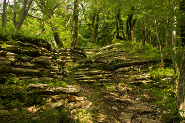 Natural natural staircase with stone steps
