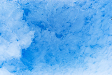 The texture of the clouds. Abstract white, on a blue background.