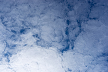The texture of the clouds. Abstract white, on a blue background.