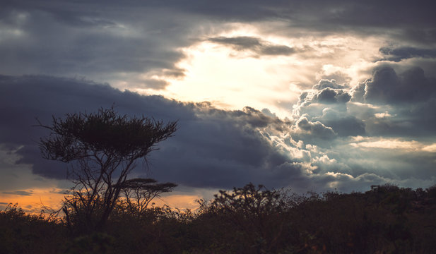 Beautiful landscape of dark wild plain with dry trees under cloudy sky with bright sunbeam penetrating, Ethiopia