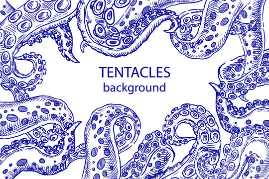 Octopus tentacles sketch  background