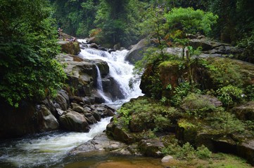 waterfall in forest