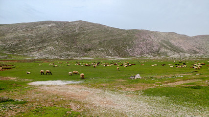 Obraz premium landscape with lake and mountains