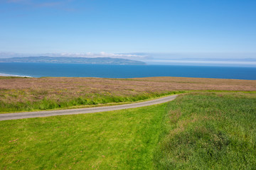 wide angle shoot summer countryside morning,Northern Ireland