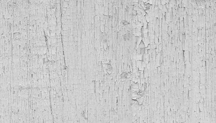 Painted white wooden surface for background. White wood texture.