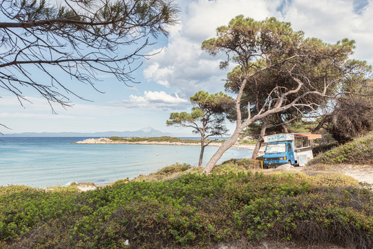 Striking view of green coastline with old car on roadway among old curvy trees and turquoise calm water, Greece