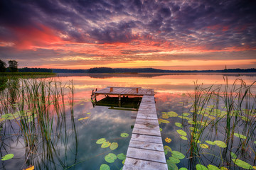 Beautiful summer sunrise over lake - Powered by Adobe