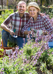 Senior couple engaged in gardening