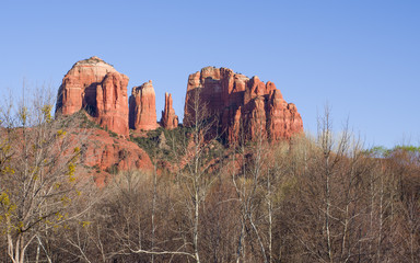 Cathedral rock in Sedona in spring time - seen above branches of almost barren trees with leaves just beginning to grow