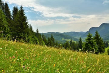 summer mountain landscape