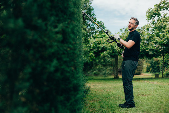 Caucasian man trimming an arizonica hedge with mechanical tools