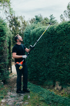 Caucasian man trimming an arizonica hedge with mechanical tools