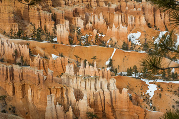 Pinnacles, monoliths and other rock formations of Bryce Canyon in close-up detail. Colorful rocks overgrown by green pines and partly covered by white snow