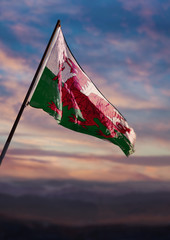 Wales flag, Welsh flag waving on sky at dusk