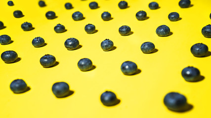 Fresh blueberry pattern on yellow background.