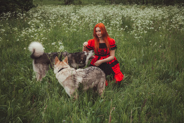 Naklejka na ściany i meble Girl with big grey dog on the nature background at summer time. Lifestyle photo.