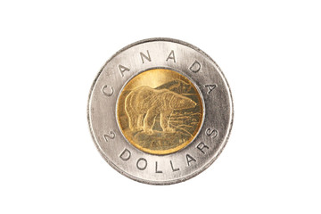 A bimettalic Canadian two dollar polar bear coin isolated on a white background, shot close up in macro