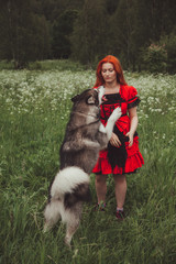 Naklejka na ściany i meble Girl with big grey dog on the nature background at summer time. Lifestyle photo.