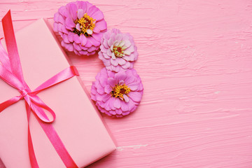 Pink Zinnia flowers with gift box and ribbon for present, mothers day or birthday holiday concept.  Copy space on background.