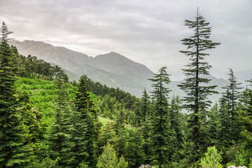 landscape with lake and mountains