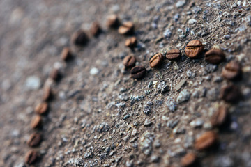 Coffee Beans On Stony Background