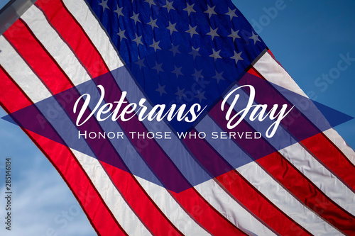 A Veteran's Day illustration with American flag and salutation