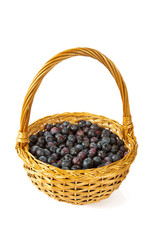 Fototapeta na wymiar fresh blueberries in a basket isolated on white background
