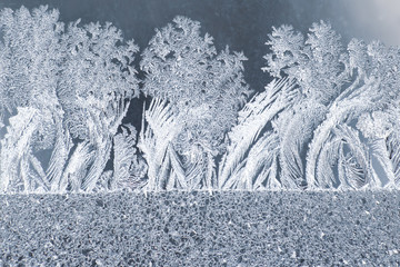 the unusual frost on a winter window. winter originality.