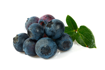 fresh blueberries isolated on white background