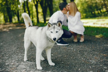 A beautiful and gentle girl with light hair and a white dress is walking in a sunny summer forest with her handsome guy in a white shirt and dark pants and they playing with cute gray dog