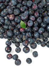 fresh blueberries isolated on white background