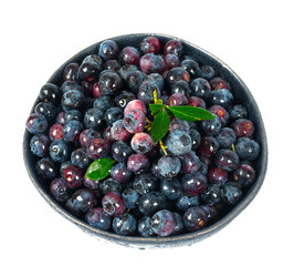 fresh blueberries in a black bowl