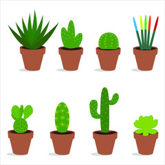 Collectie van cactusillustraties. Kan worden gebruikt om elk onderwerp over de natuur of een gezonde levensstijl te illustreren.