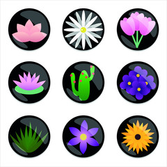 Vectorial, colorful flowers, cactus, desert, green, tulip, daisy, violet, purple, lily, water lily, spring, summer, sunflower.