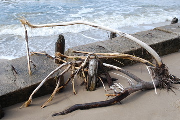 Baumäste und  Steine Komposition am Ostsee Strand Polen