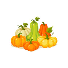 Fototapeta na wymiar pumpkin vector illustration