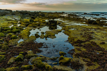 Good Morning!! Crystal Cove State Park. Lovely walk with gorgeous light, clouds, rocks formations, and ocean view