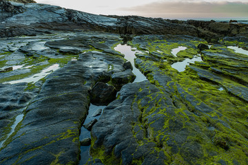Good Morning!! Crystal Cove State Park. Lovely walk with gorgeous light, clouds, rocks formations, and ocean view