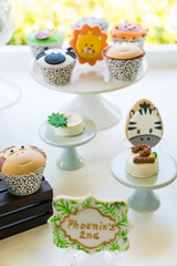 Safari Themed Birthday Party Cake / Cupcake dessert 