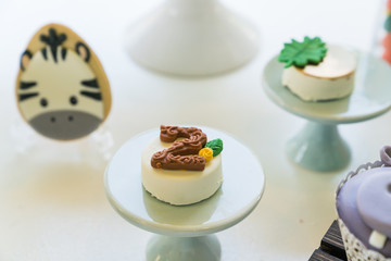 Safari Themed Birthday Party Cake / Cupcake dessert 