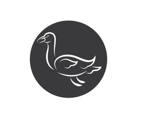 Swan logo Template vector illustration