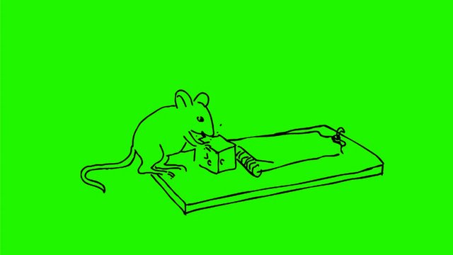 2d Animation motion graphics drawing of a mouse eating cheese bait in mouse trap and getting caught on white and green screen with alpha matte in HD high definition.