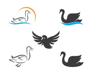 Fototapeta premium Swan logo Template vector illustration