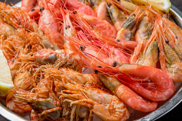 boiled shrimp on ice on grey concrete table