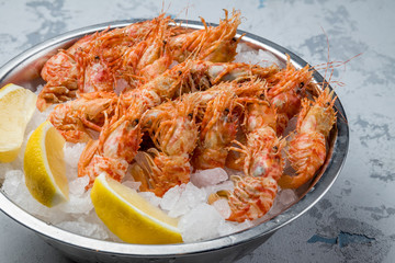 boiled shrimp on ice on grey concrete table