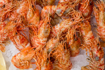 boiled shrimp on ice on grey concrete table