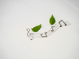Leaves and music notes.Music from nature concept